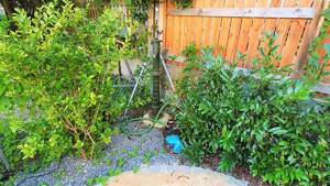 Exklusive 4-Zimmer-Wohnung mit Garten, Garage und Stellplatz! – 85051 Ingolstadt – Vorschaubild 6