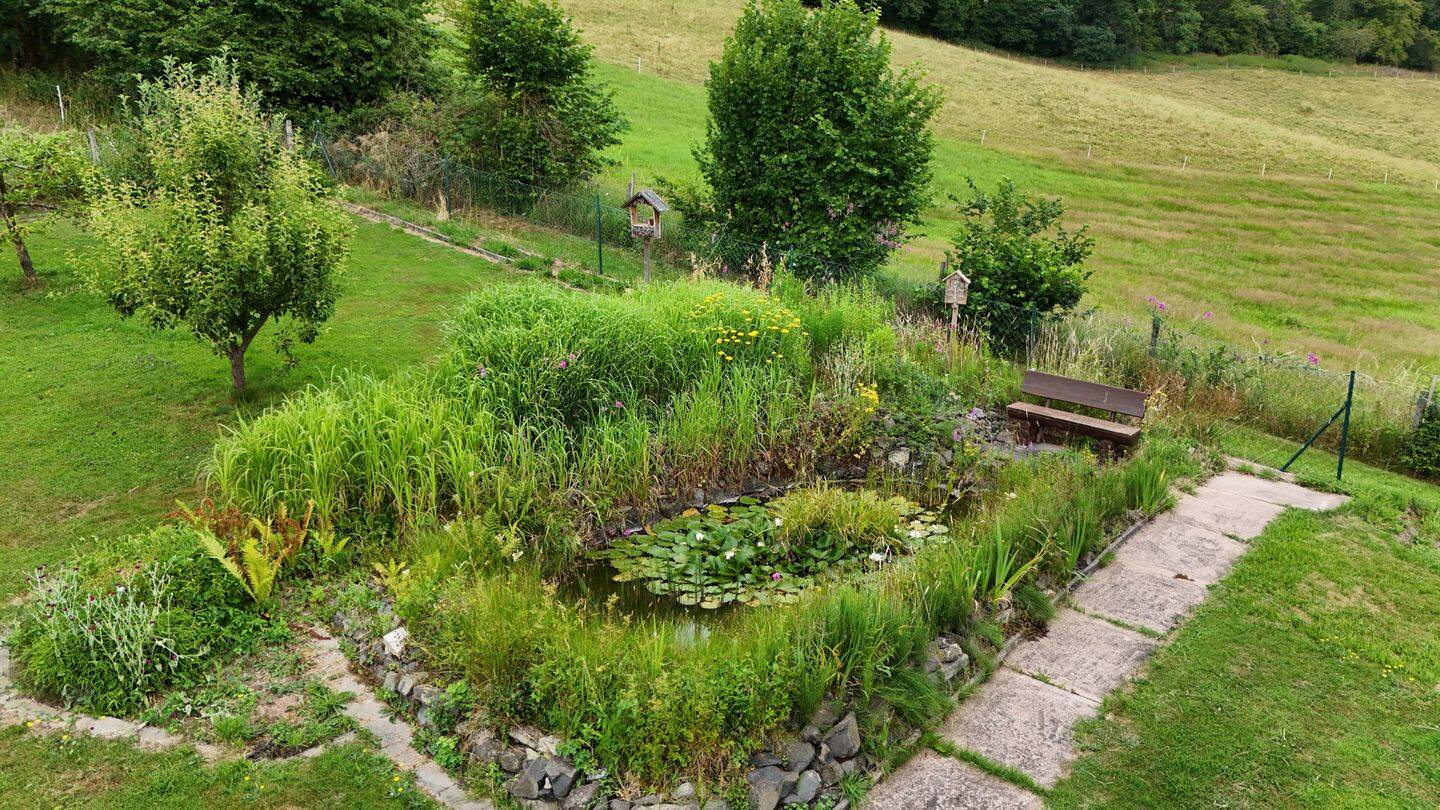 Familienfreundliches Einfamilienhaus mit großem Garten, Teich und Garage in Hauneck – Hauneck – Vorschaubild 6