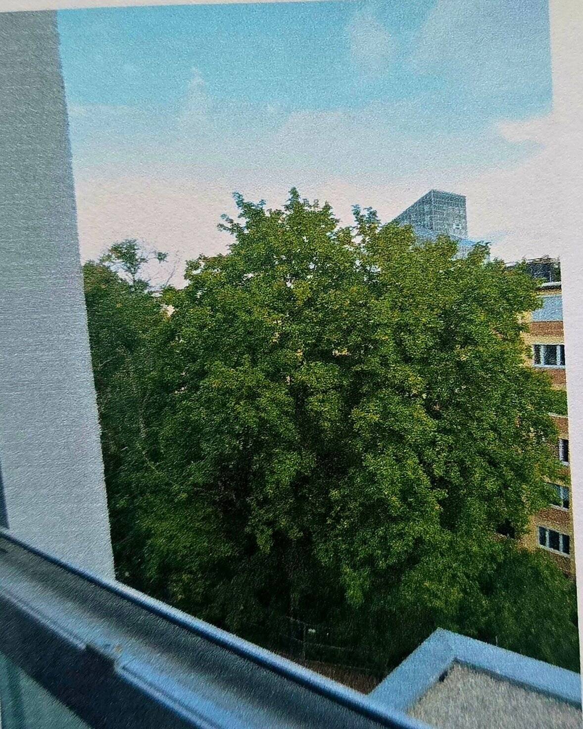 Top- Studenten Apartement im Herzen von Nürnberg – Nürnberg – Vorschaubild 8