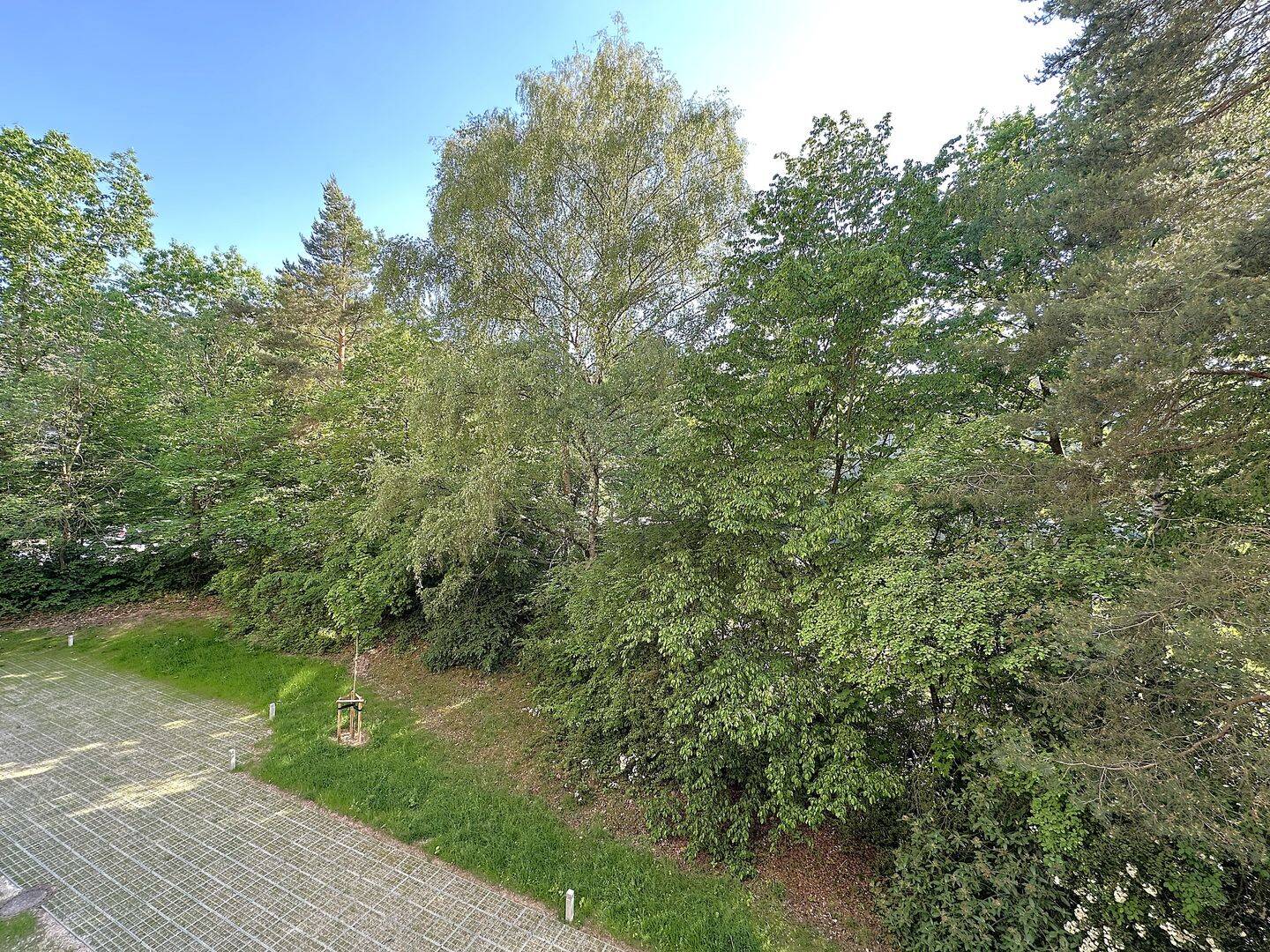 ... BLICK INS GRÜNE ... 3-ZIMMER-WOHNUNG MIT LOGGIA IN RUHIGER LAGE ... – Nürnberg – Vorschaubild 6