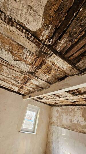 Ehemaliges Bauernhaus mit viel Potential – 76835 Gleisweiler – Vorschaubild 9