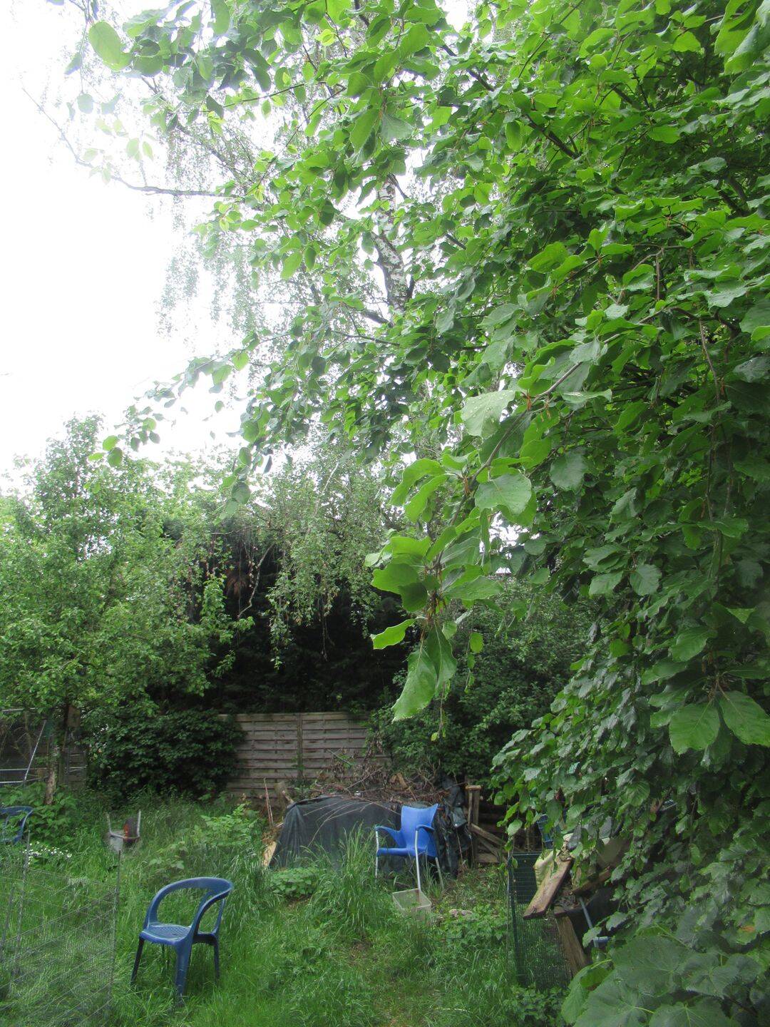 Einfamilienhaus – München – Vorschaubild 3