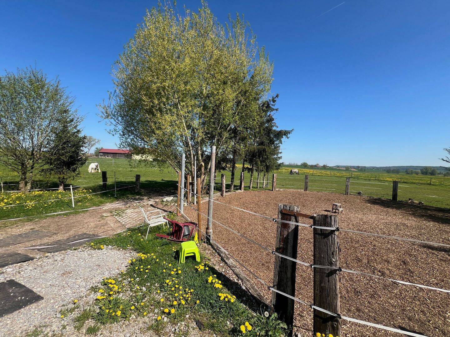 Ein Paradies für Tiere, Romantischer Reiterhof/ Bauernhof bei Schnelldorf – Schnelldorf – Vorschaubild 8
