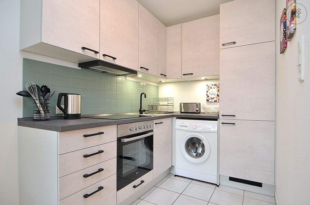 Schön möbliertes, renoviertes Apartment mit WLAN am Nürnberger Dutzendteich – Nürnberg – Vorschaubild 3
