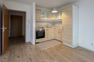 Bezugsfreie 1-Zimmer-Wohnung mit Stellplatz in begehrter Lage von Bonn-Ippendorf – 53127 Bonn – Vorschaubild 3
