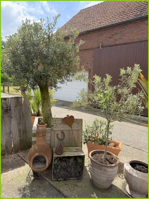 Ideal für Paare - schöne Maisonettewohnung mit Gartennutzung in ländlicher Lage von Hamm-Osttünnen! – Hamm – Vorschaubild 2