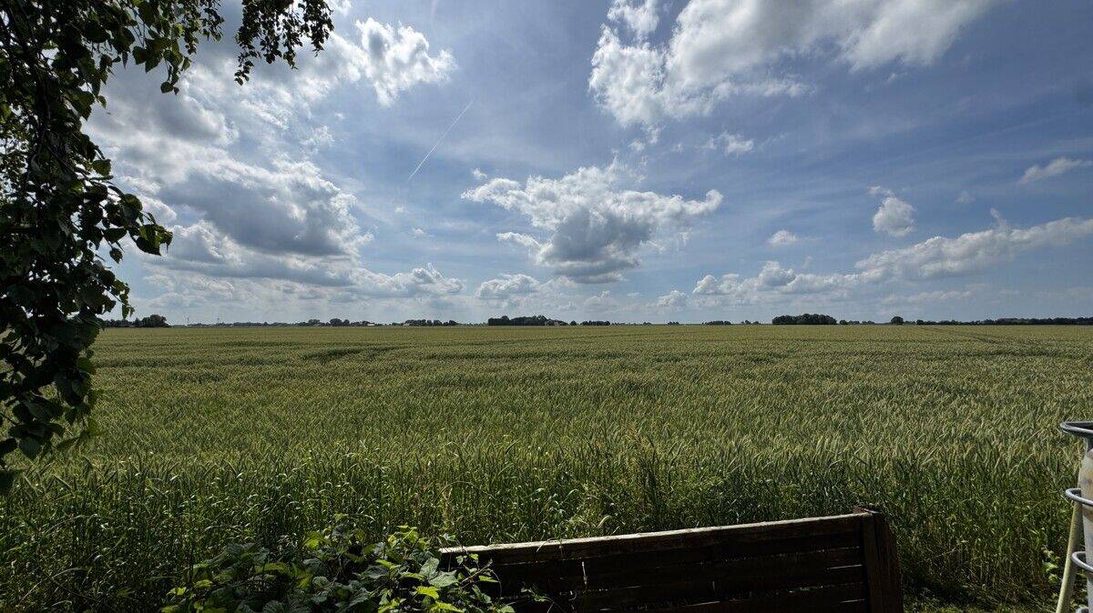 Großzügiges Grundstück mit Einfamilienhaus und Blick ins Grüne - Provisionsfrei! – Bunde – Vorschaubild 8