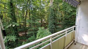 1 Zimmerwohmung mit Balkon (ohne Fahrstuhl) in Potsdam sucht neuen Mieter – 14478 Potsdam – Vorschaubild 3