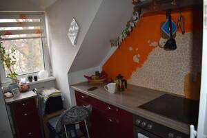 Attraktive 2-Raum Dachgeschosswohnung mit Stellplatz in ruhiger Lage in Böhlen – 4564 Böhlen – Vorschaubild 6