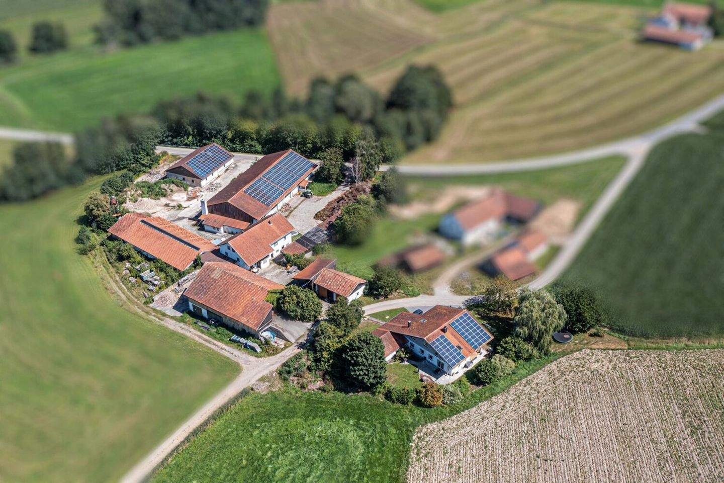 Weitläufiges Grundstück, Wohnhaus mit vielseitigen Hallen, Scheunen und PV-Power – Arnschwang – Vorschaubild 4