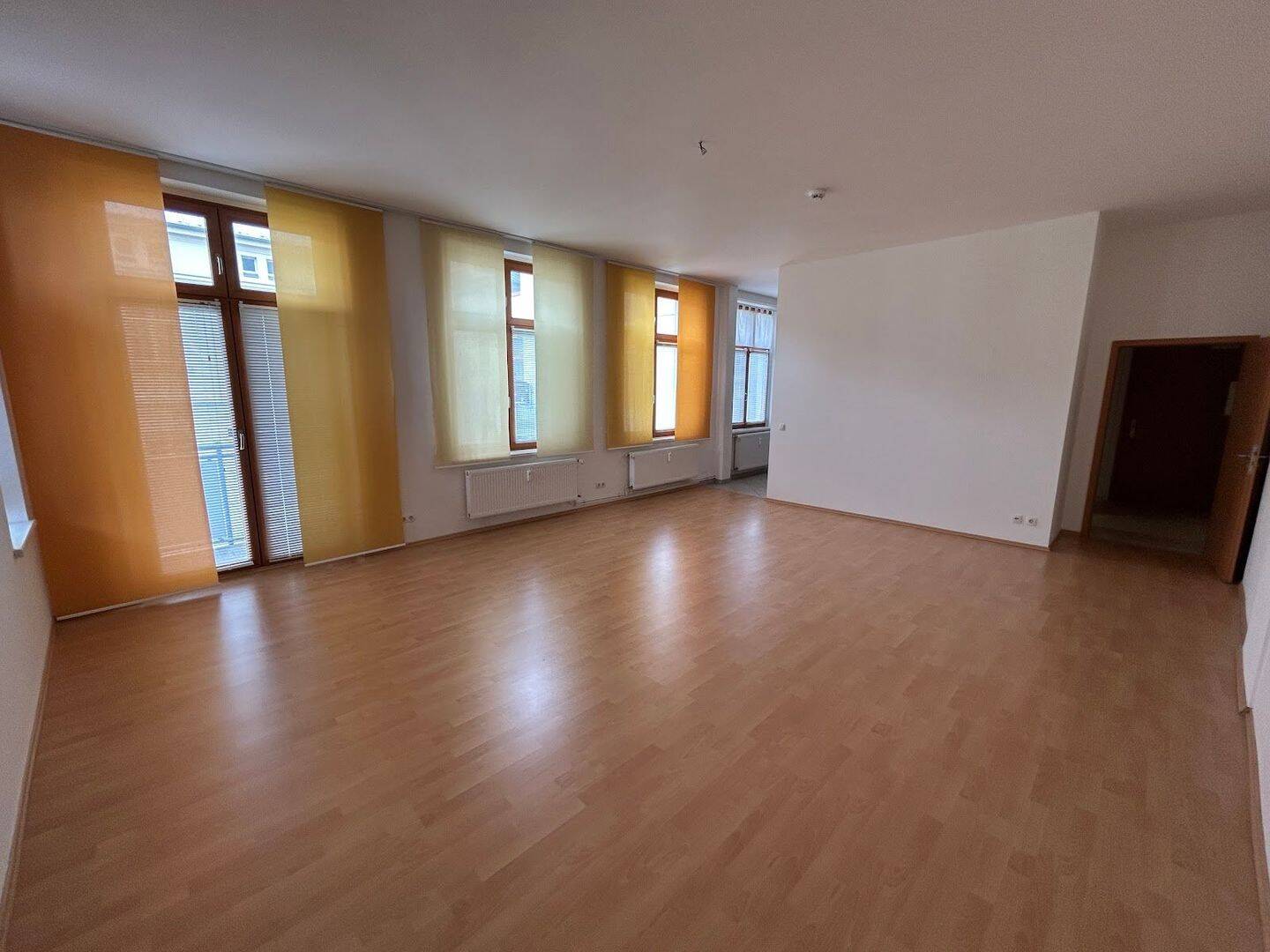 Geräumige 1-Zimmer-Wohnung mit Einbauküche und großem Balkon!