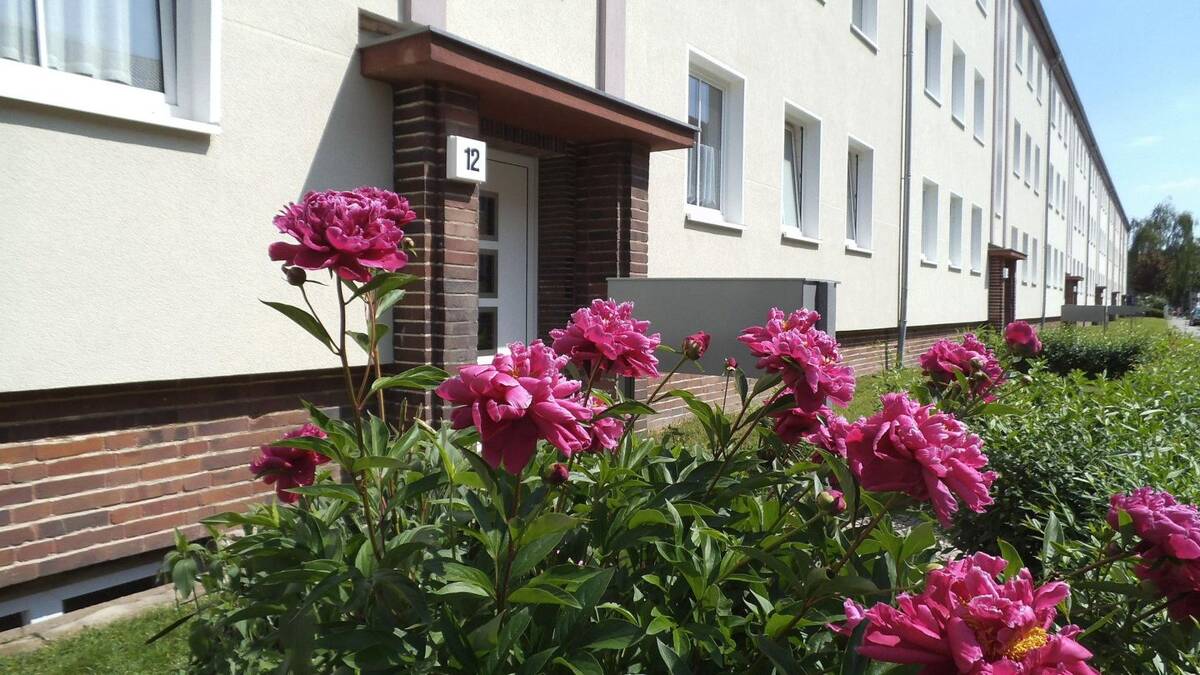 2-Raum Wohnung / 49m² / Stadtfeld West – 39110 Magdeburg – Bild 1 von 8