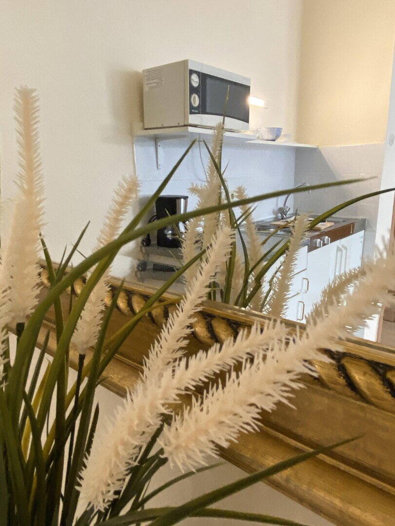 Schicke Single Wohnung (möbliert) nähe Japanviertel