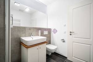 Charmantes, denkmalsaniertes Apartment mit Terrasse & EBK - Stadtnah wohnen mit Stil! – 93059 Regensburg – Vorschaubild 7