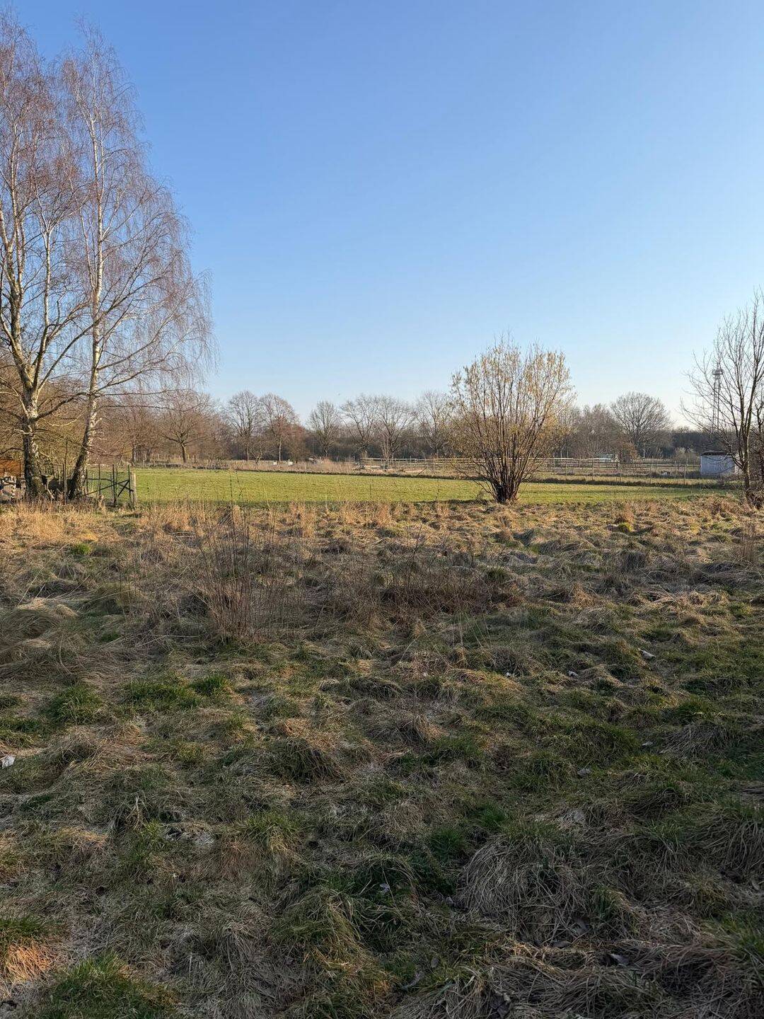 Mit Grundstück, ein Haus mit Charme in Sievershausen. – Lehrte – Vorschaubild 4