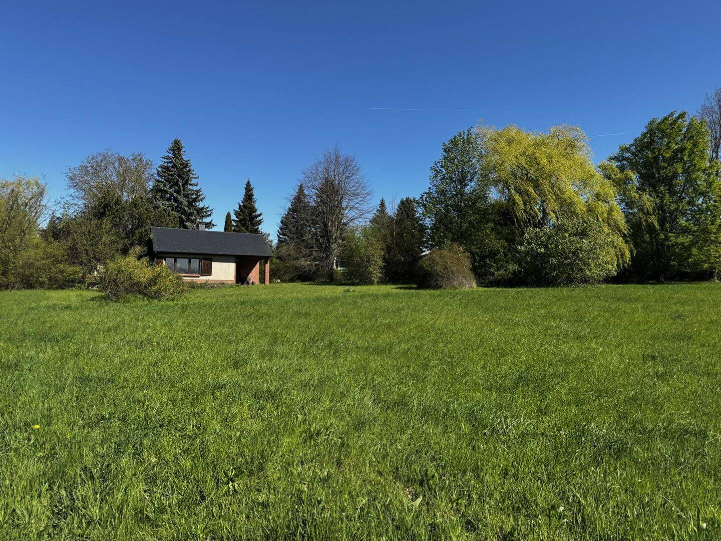 Seltene Gelegenheit für Naturliebhaber - weitläufiges Freizeitgrundstück mit Ferienhaus bei Colditz – Colditz – Bild 1 von 9