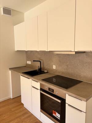Charmantes 2-Zimmer-Apartment mit Balkon in Hamburg Wandsbek – 22045 Hamburg – Vorschaubild 6