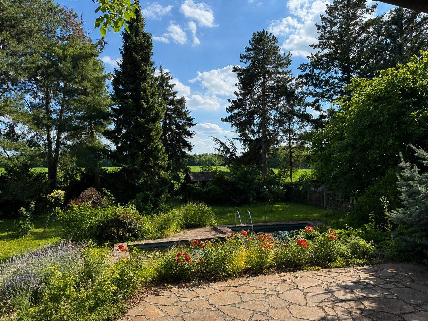 Pool | Feldrand | traumhafte Weitsicht | Gartenidylle pur | Garage | Privatstraße – Leipzig – Vorschaubild 2