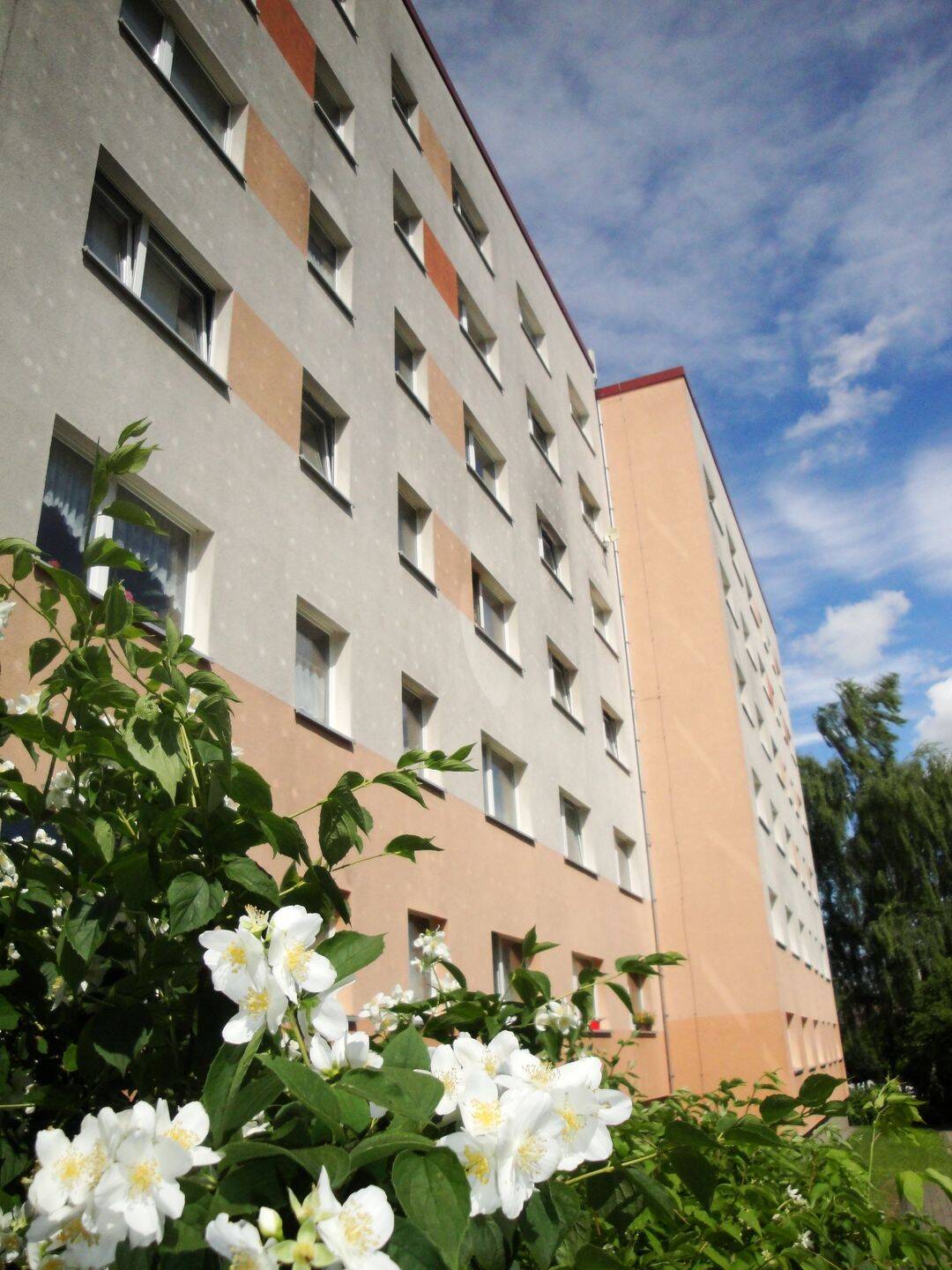 Gemütliches 1-Zimmer-Apartment im Erdgeschoss – Leipzig – Vorschaubild 2