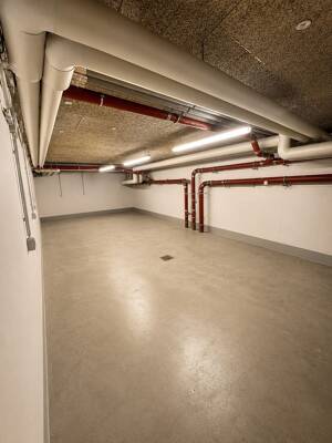 Sonnige 2-Raum-Wohnung am Klinikum Dresden-Friedrichstadt mit PKW Stellplatz – 1067 Dresden – Vorschaubild 4