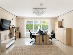 Exklusive und luxuriöse Villa mit Pool und Einliegerwohnung am Naturschutzgebiet Hamburg-Boberg! - Moderne Eleganz mit stilvoller Architektur, großzüg – 21033 Hamburg – Vorschaubild 2