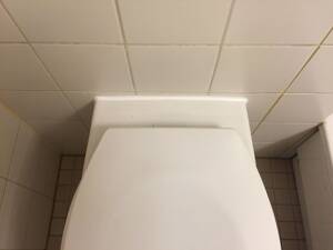 1 Zimmer Helmholtzstraße 9a, 34127 Kassel25,03 m² – 34127 Kassel – Vorschaubild 5
