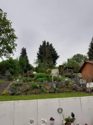 Stadtnahe, idyllische Terassen/Gartenwohnung in ruhiger Weinberglage – 55129 Mainz – Vorschaubild 3