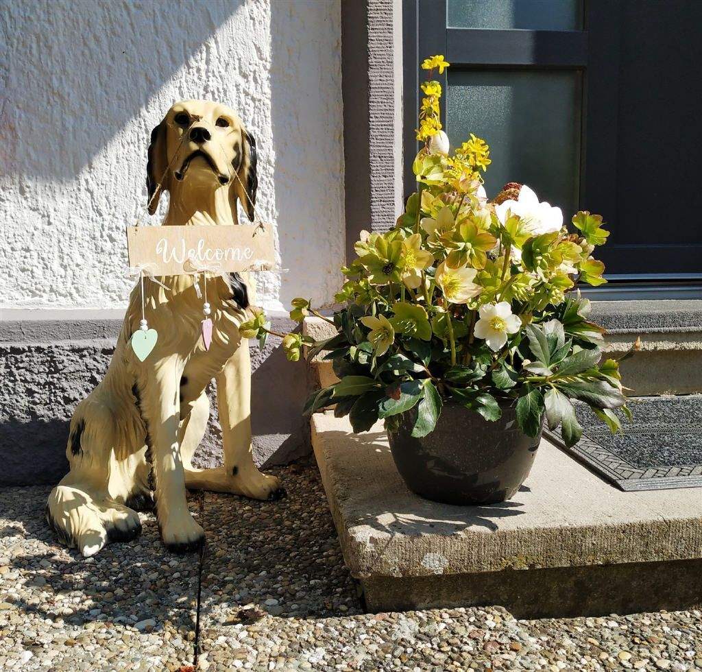 Einfamilienhaus in sonniger, bevorzugter Wohnlage – Bad Mergentheim – Vorschaubild 4