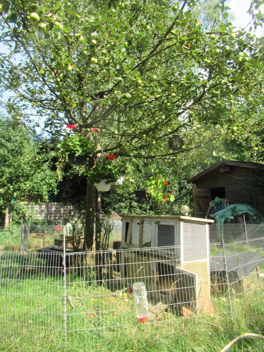 Einfamilienhaus mit großem Garten – München – Vorschaubild 3