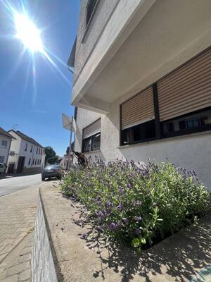 Schöne Wohnung in Mainz-Laubenheim mit großer Süd-Terrasse – 55130 Mainz – Vorschaubild 9