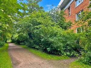 modernisierte Erdgeschosswohnung zum Kauf in Hamburg Alsterdorf - Wentzel Dr – 22297 Hamburg – Vorschaubild 6
