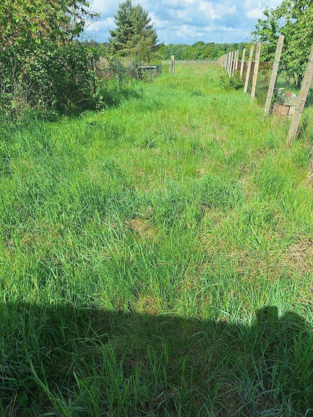 Sanierungsobjekt mit riesigem Eigentumsgrundstück & Pferdekoppel – außergewöhnlich günstiger Kaufpreis mit viel Potenzial! – Salzwedel – Vorschaubild 2