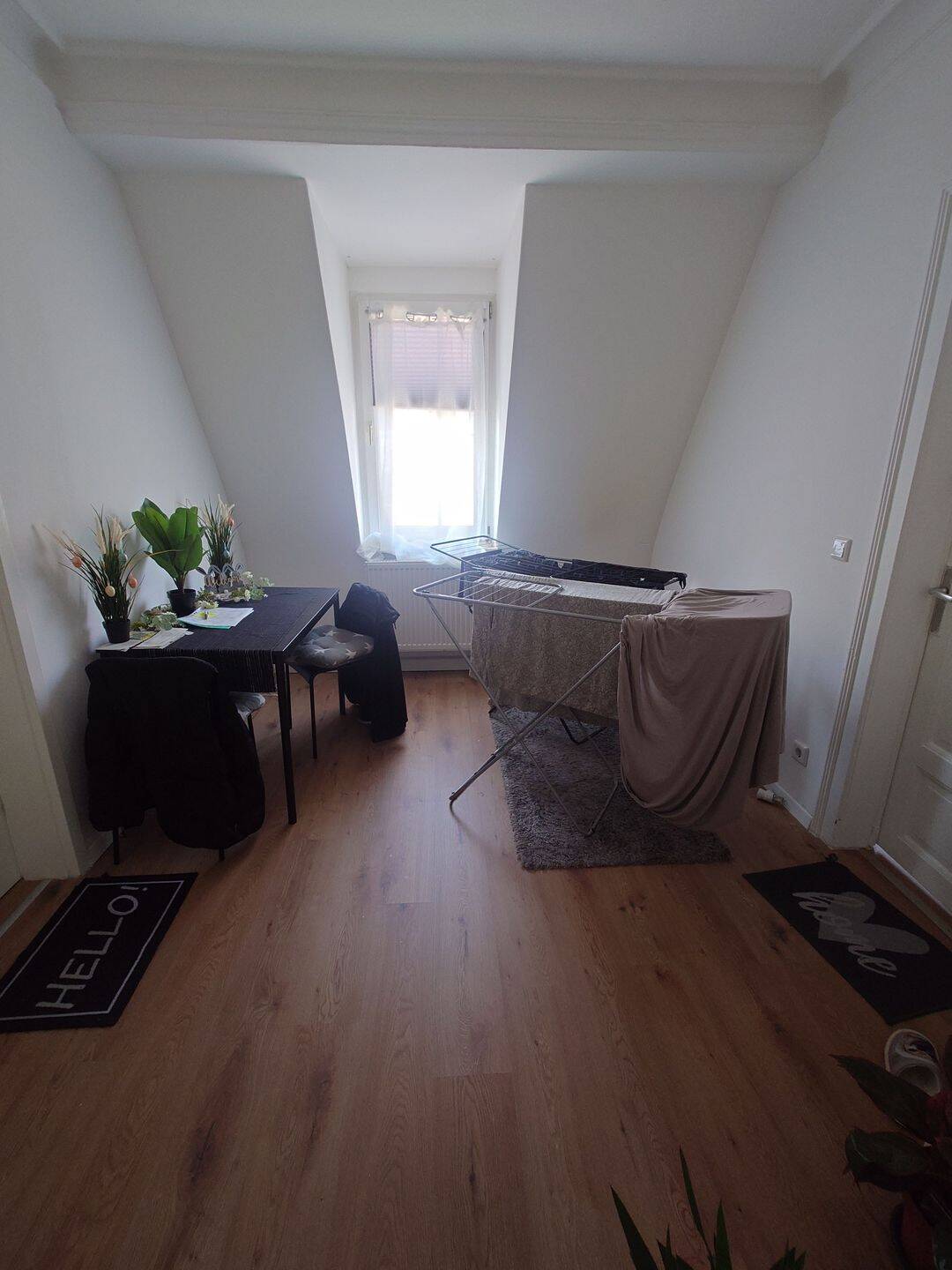 One big room in 3 WOMEN WG in Nürnberg from May onwards city registration possible – Nürnberg – Vorschaubild 8
