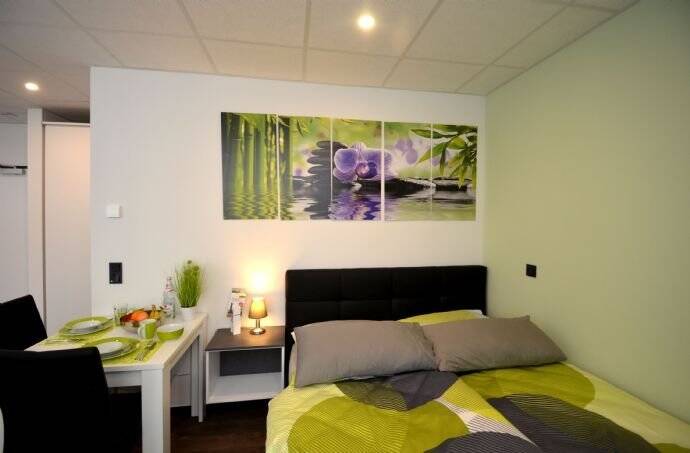 verfügbares 1-Zimmer-Apartment für 2 Personen, modern und voll ausgestattet, zentral Offenbach