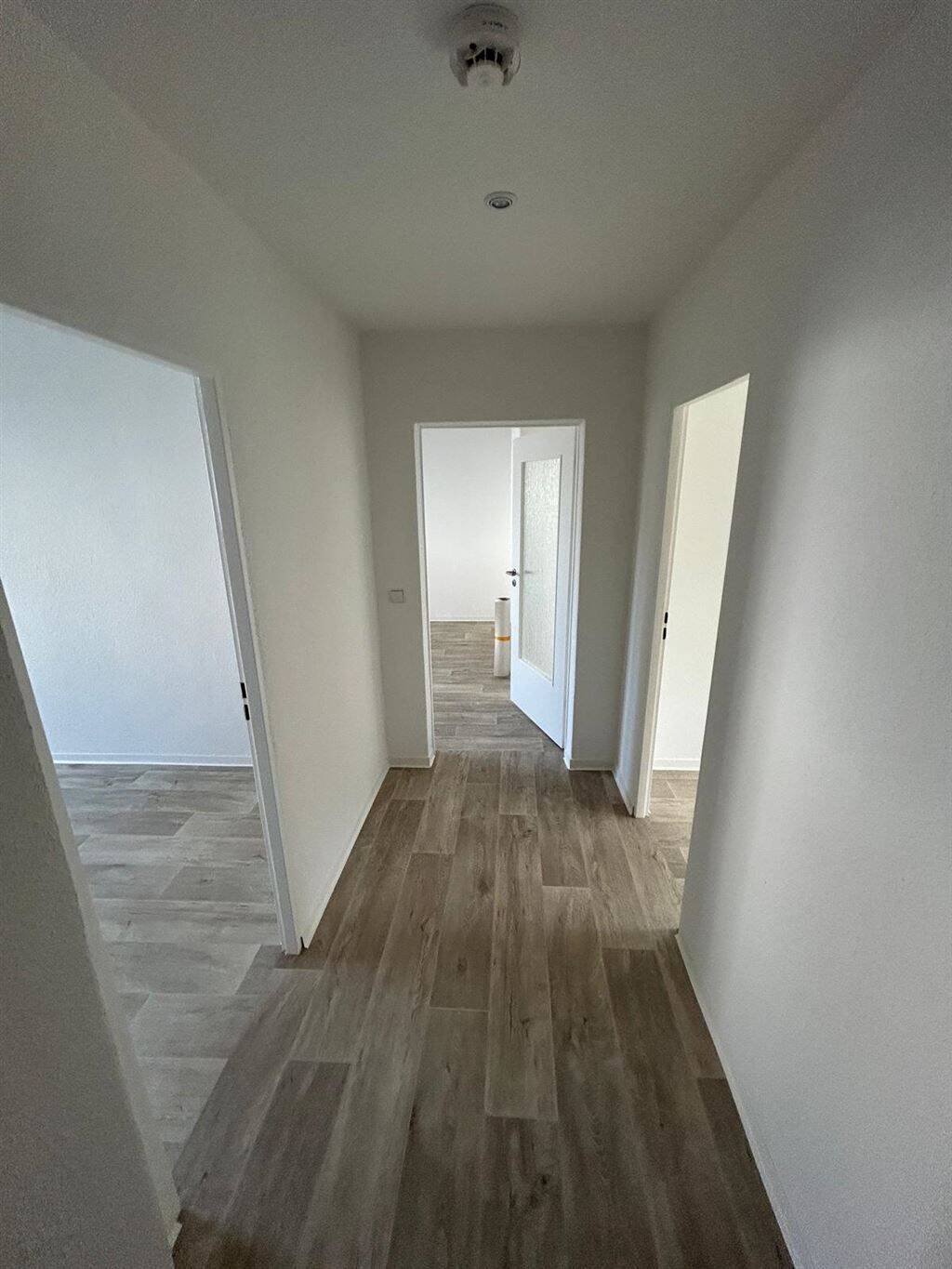 Helle 4-Zi. mit großem Balkon & Laminat in ruhiger Lage! – Chemnitz – Vorschaubild 7