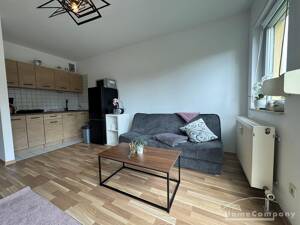 26755 HomeCompany Dresden Möbliert/Furnished 1-Zimmer-Apartment in Dresden-Tolkewitz max. 1 Person – 1279 Dresden – Vorschaubild 3