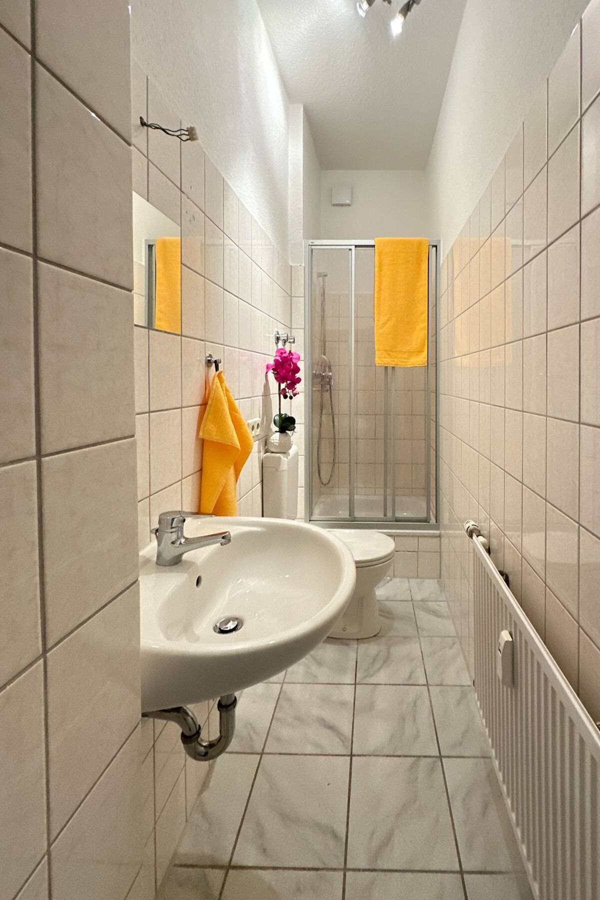 Studentennest mit Duschbad in Uninähe – 39106 Magdeburg – Bild 1 von 9