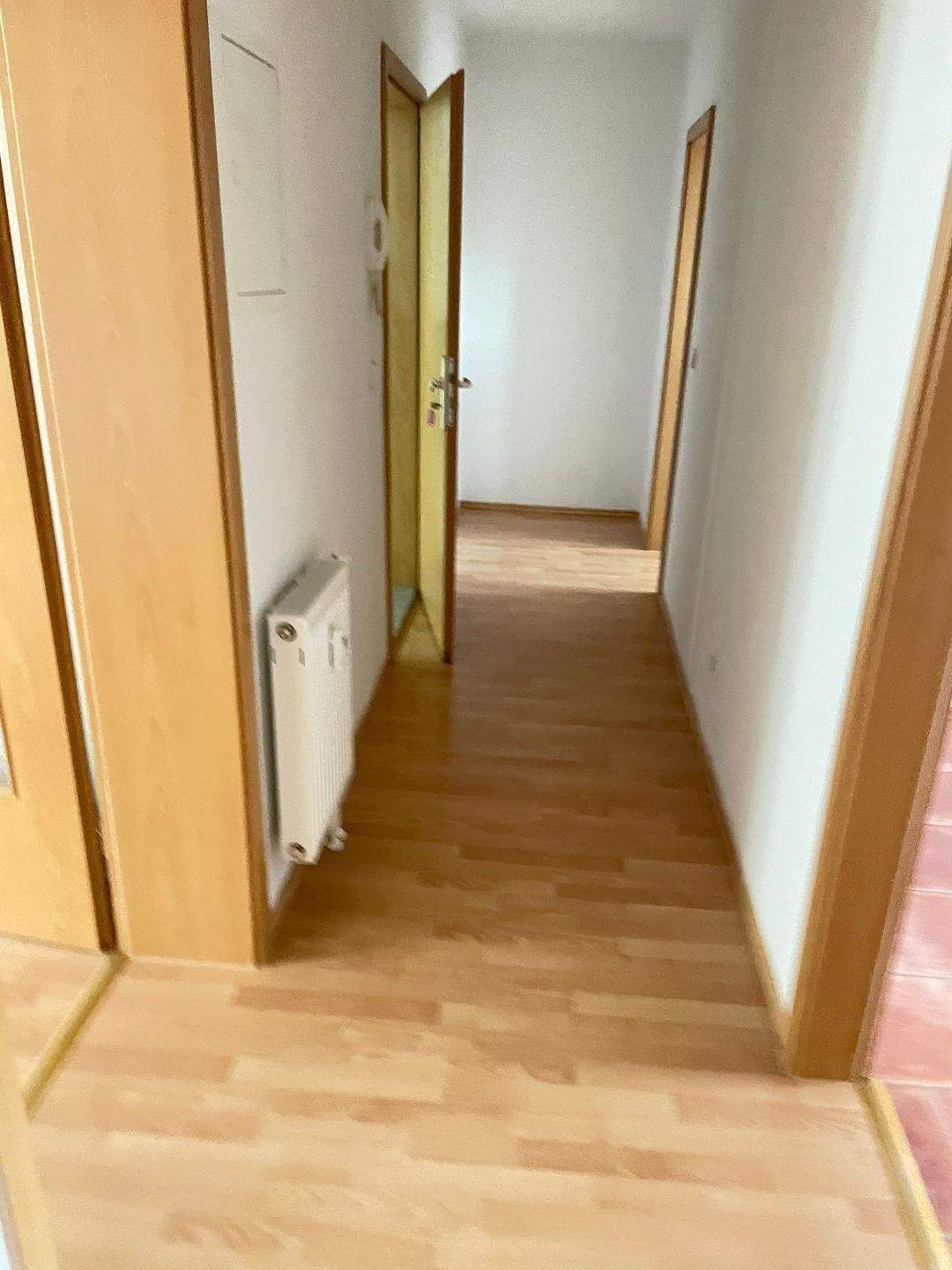 Humboldthöhe OOOO tolle 2 Zimmer Wohnung zum WOHNFüHLEN OOO – Chemnitz – Vorschaubild 5