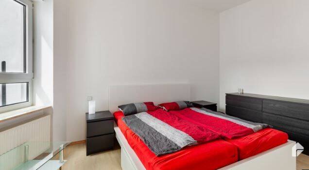 Charmante 2-Zimmer-Wohnung mit Balkon in der Magdeburger Altstadt (Neustadt).