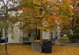 gemütliche 2 Zimmer Wohnung in ruhiger Lage – 93053 Regensburg – Vorschaubild 3