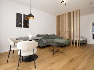 Erstbezug: Stylishe möblierte 1-Zimmer Wohnung mit Balkon und Internet in Wiesbaden – 65187 Wiesbaden – Vorschaubild 7