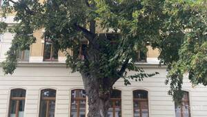 Schöne, bezugsfreie 2 Zimmer-Wohnung in Gohlis mit Parkett – 4157 Leipzig – Vorschaubild 5