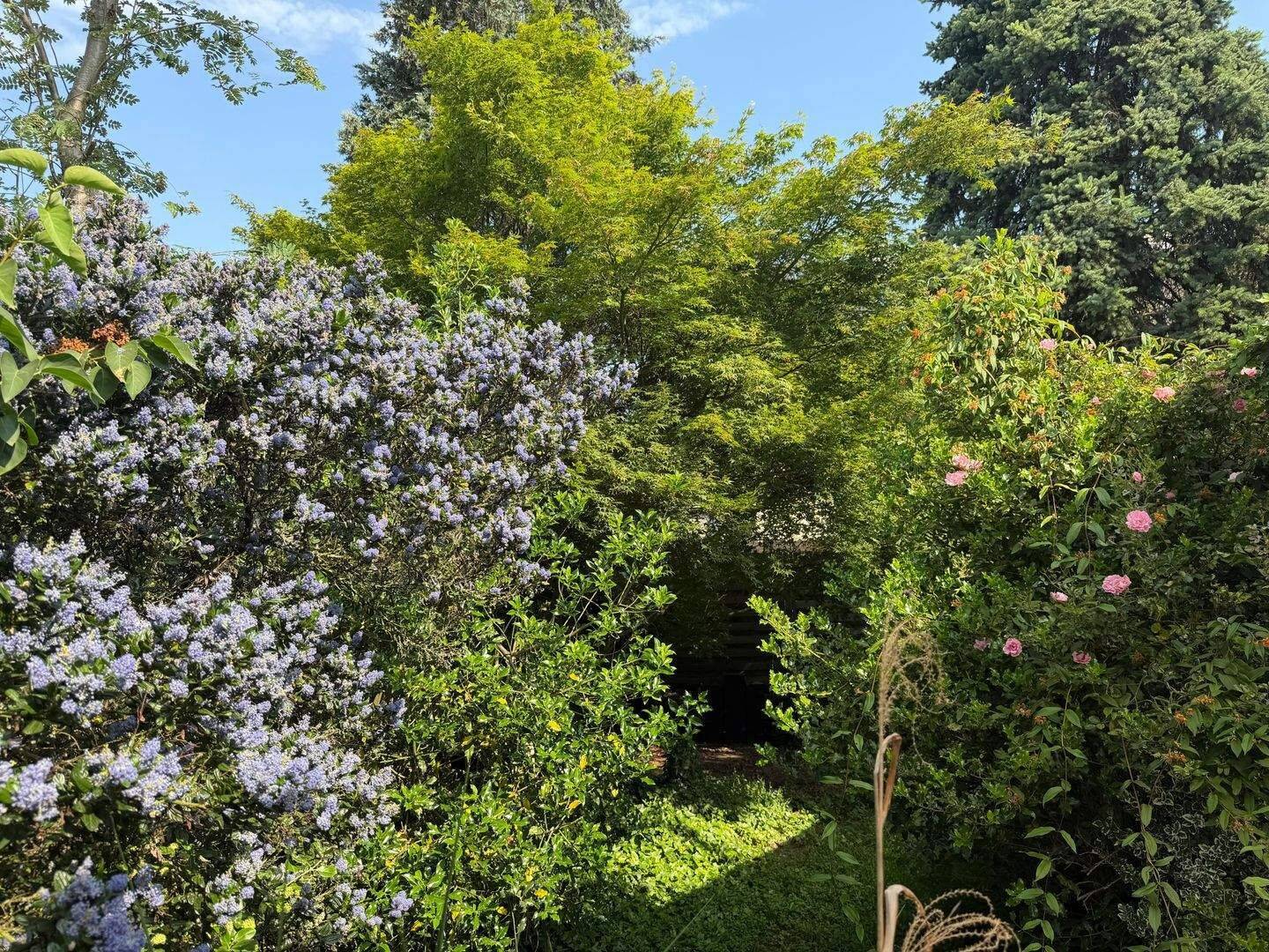 Toller Familienbungalow in ruhiger Wohnsiedlung in Willich Anrath! – Willich – Vorschaubild 9