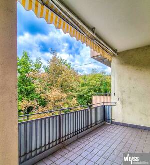 Zentral gelegene 3-Zimmer-Wohnung in Altstadtnähe/Sanderstr. – 97070 Würzburg – Vorschaubild 9