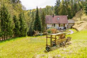 Traumanwesen im eigenen Tal: 2 Häuser, 33.000m² Wald & absolute Alleinlage in Jena – 7745 Jena – Vorschaubild 6