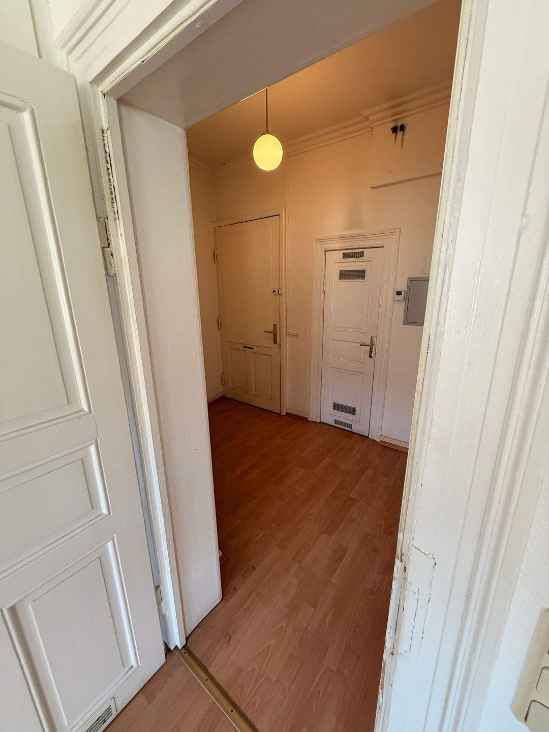 Charmantes 1-Zimmer-Apartment mit Balkon in Erfurt Krämpfervorstadt – Erfurt – Vorschaubild 2