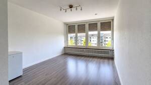 Sonniges Apartment an der Augustaanlage