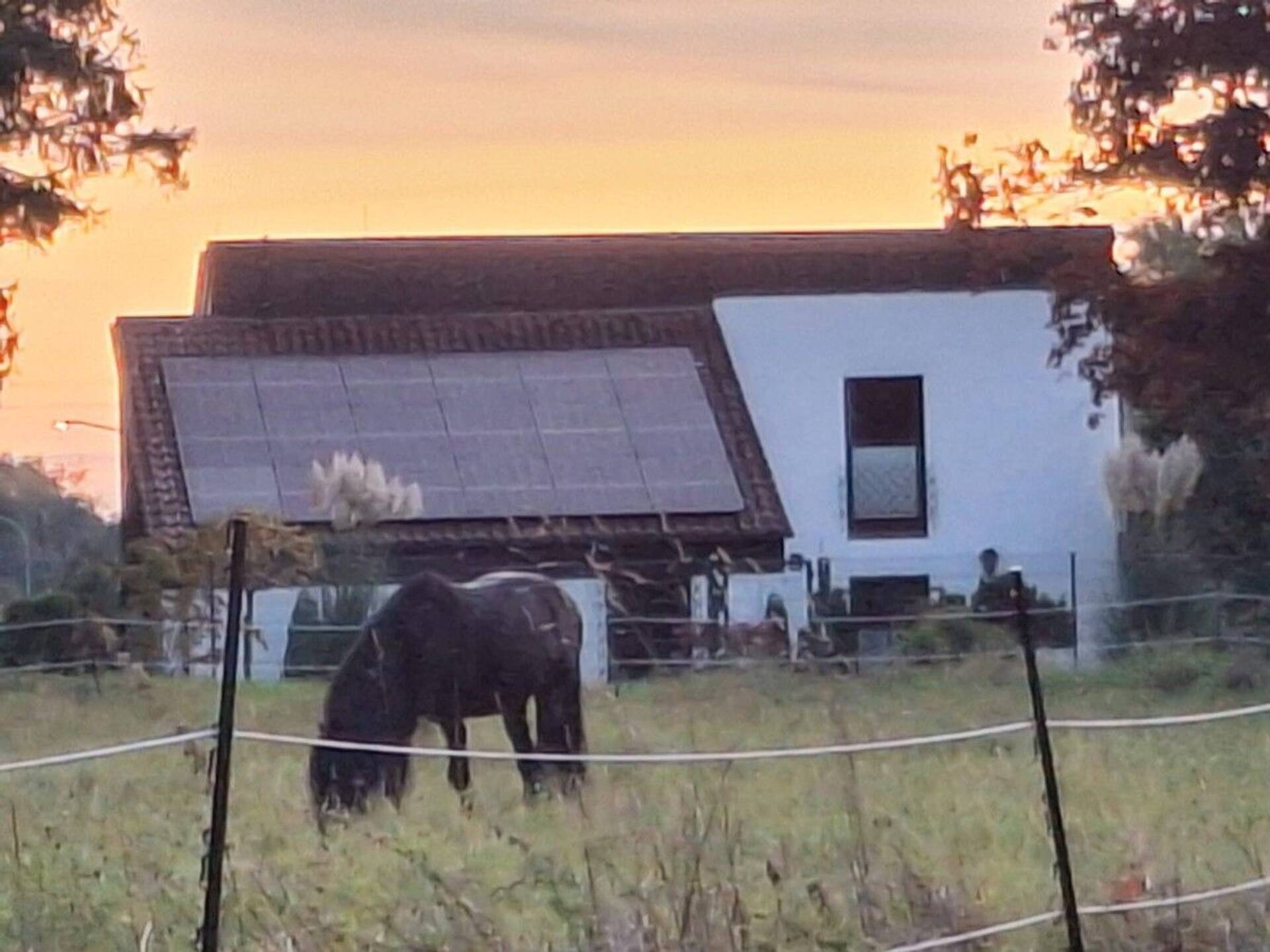 Einfamilienhaus in 66399 Mandelbachtal / Heckendalheim mit 170 m² kaufen