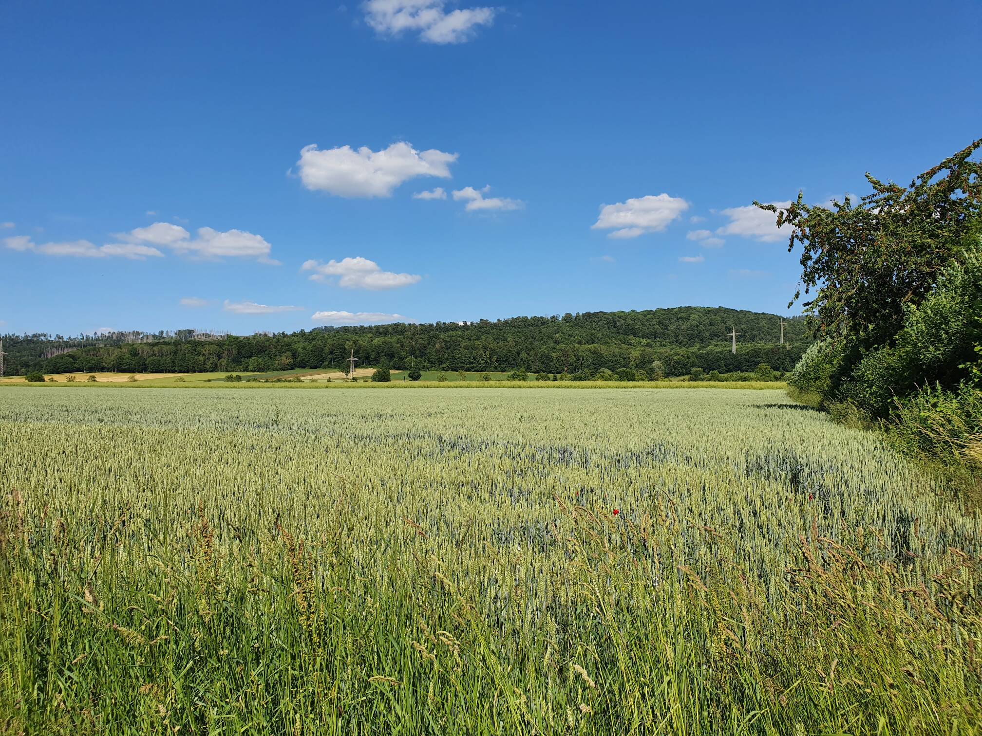 Das clevere Raumwunder 100 im kommenden Baugeb. in Münchehof. – Seesen – Vorschaubild 4