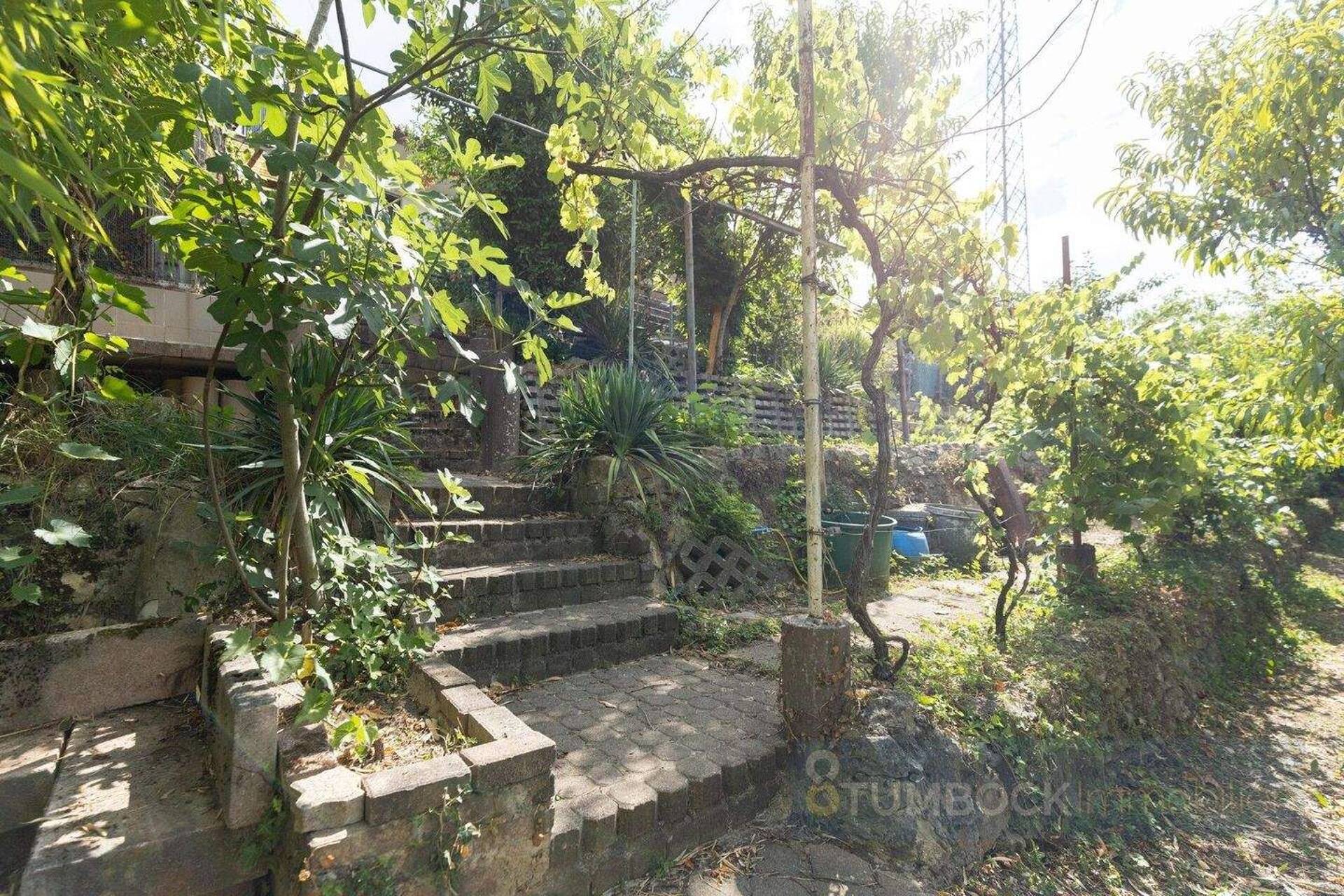 Einfamilienhaus in 79541 Lörrach mit 300 m² kaufen